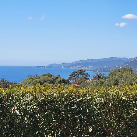 T2 Propriano Vue Mer, Neuf, Climatise Et Classe 3 Etoiles Viggianello Exterior foto