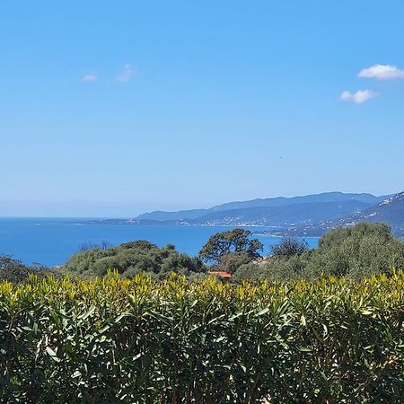 T2 Propriano Vue Mer, Neuf, Climatise Et Classe 3 Etoiles Viggianello Exterior foto