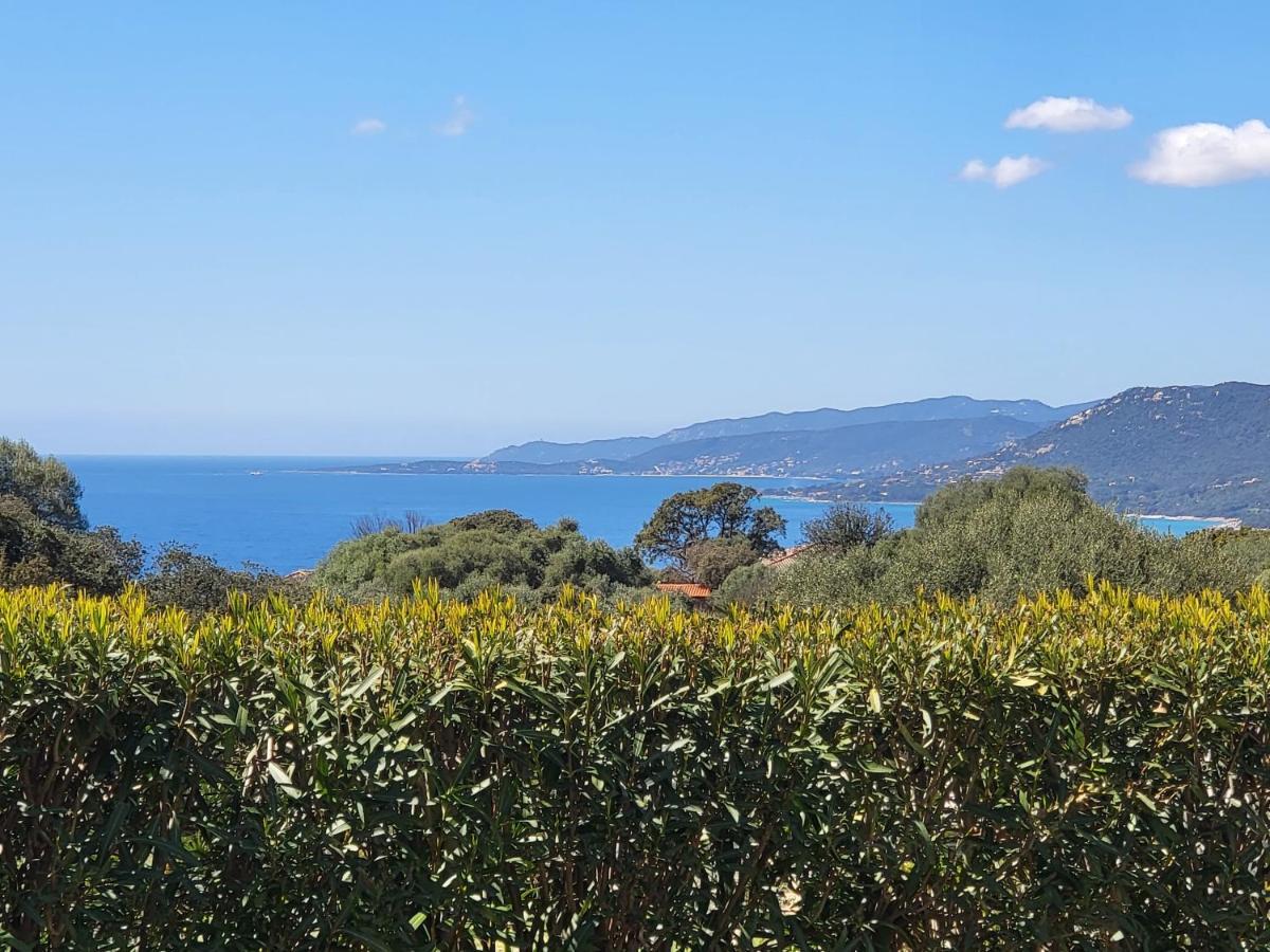 T2 Propriano Vue Mer, Neuf, Climatise Et Classe 3 Etoiles Viggianello Exterior foto