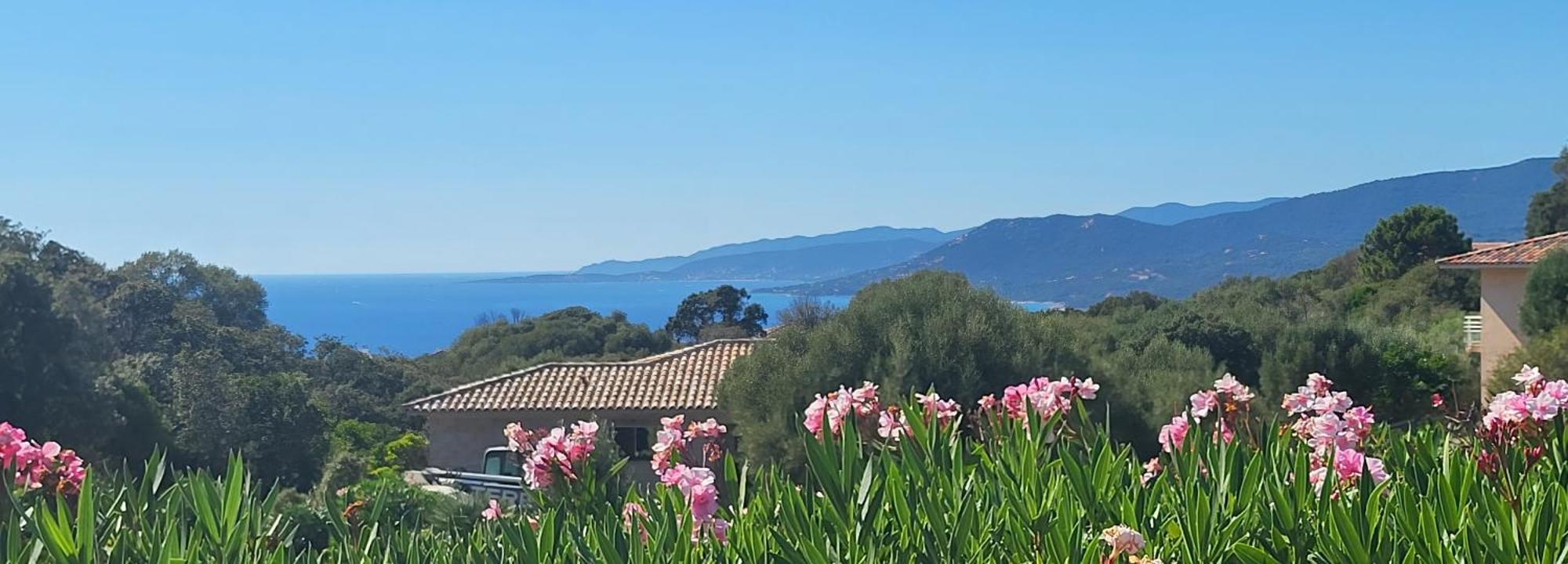 T2 Propriano Vue Mer, Neuf, Climatise Et Classe 3 Etoiles Viggianello Exterior foto